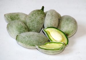 Do not eat unripe fruits of bitter almonds