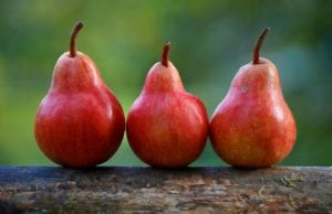 Pears: Health benefits and nutritional information